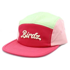 5 Panel Colorblock Cap 2-16