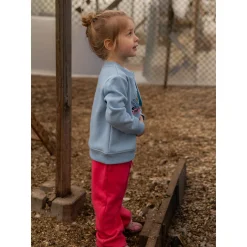 Chalet Dog Sweatshirt 2-10