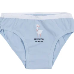Days 7pk Undies 2-12