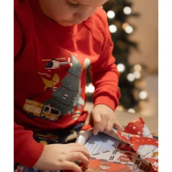 Dinosaures Pajamas 2-14y