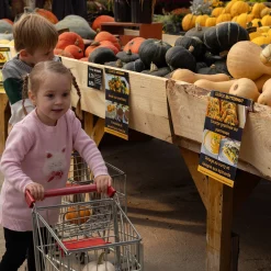 Flowers Poetry Knit Dress 2-8