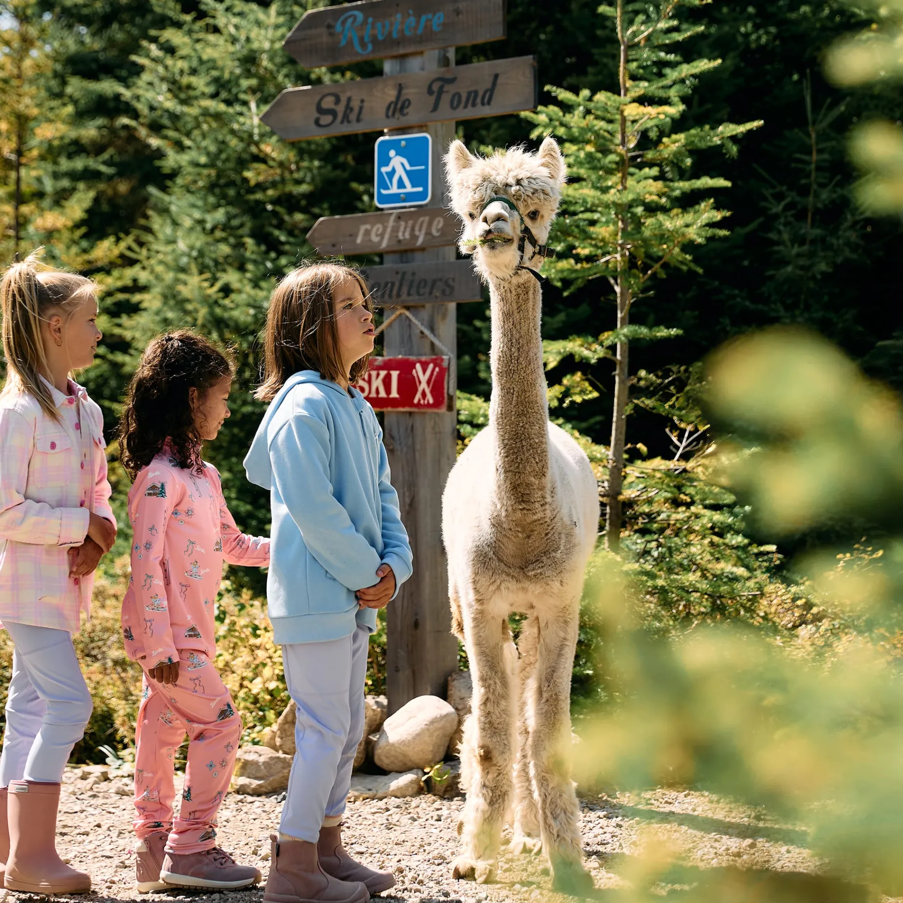 Kangaroo Zip Bear Skate 2-10 y