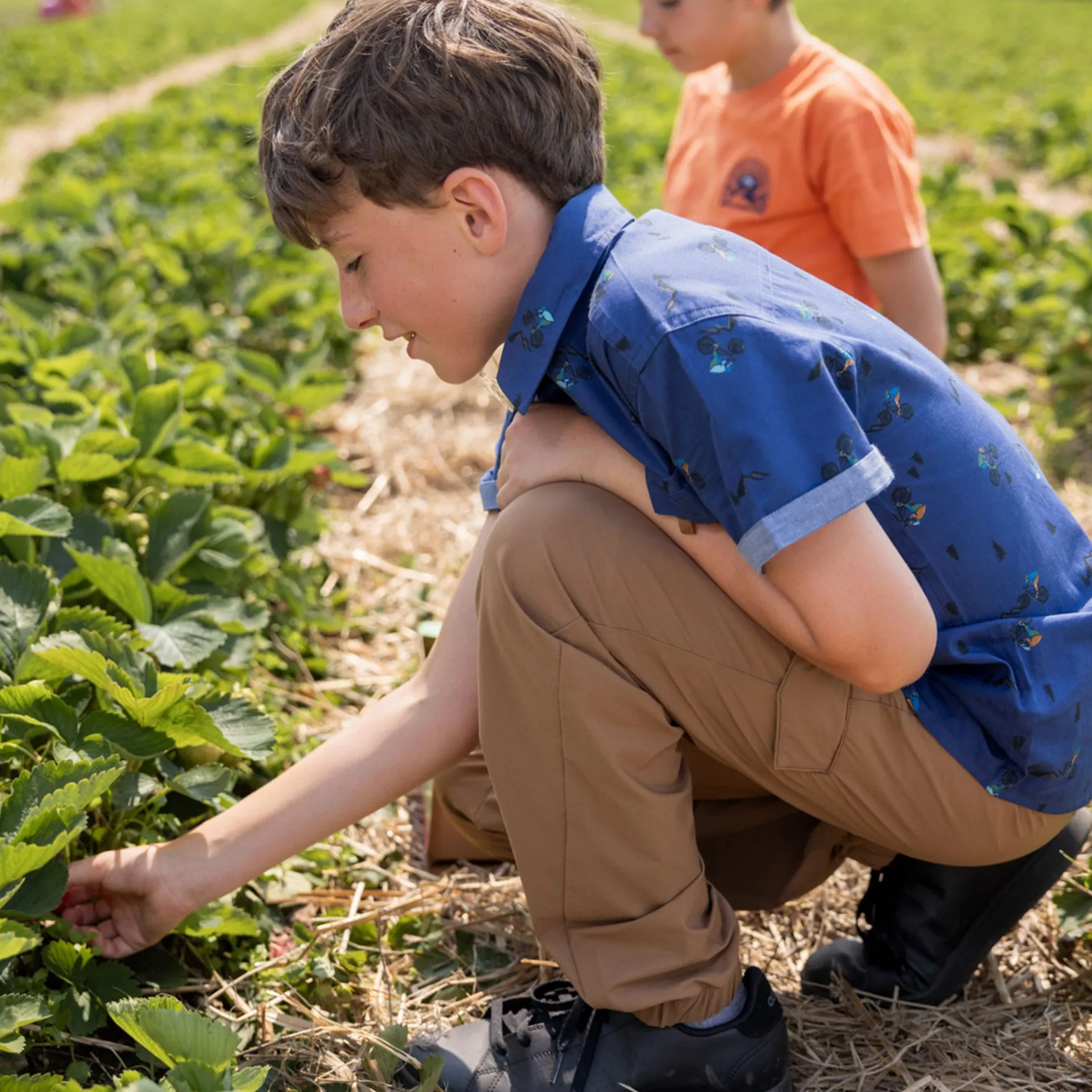 Off Road Jogger Pant 2-12