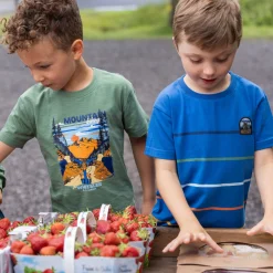 Off Road T-shirt 2-12