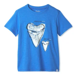 Shark T-Shirt 2-8y