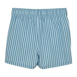 Stripe Swimshorts 2-8