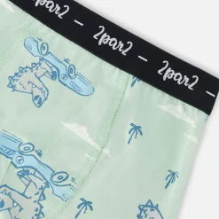 Trucks Boxers (3) 2-12