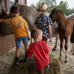 West Dip Dye T-shirt 2-12